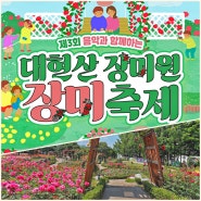 대현산 장미원 2024 서울 성동구 축제 5월 가볼만한곳 주차