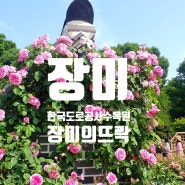 한국도로공사수목원 장미꽃명소 장미의뜨락