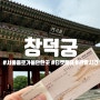 종로 가볼만한 곳 창덕궁 관람 후기(feat. 요금, 관람시간)