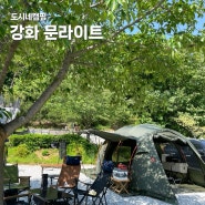 강화 문라이트 깨끗한 캠핑장 B1 사이트 이용 후기