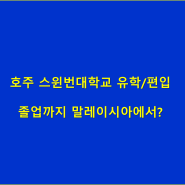 호주 스윈번대학 유학/편입 - 졸업까지 말레이시아에서?