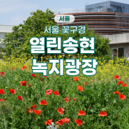 서울 꽃구경하기 좋은 열린송현 녹지광장