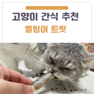 [아르르] 고양이 열빙어 간식 섭취 후기