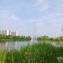 부천 아이랑 가볼만한곳 상동 호수공원 실내 놀거리 식물원 수피아 방문 후기!