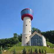 용인 가볼만한 곳 추천 | 자작나무 숲, 카페 베툴라 후기