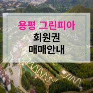 용평리조트 그린피아회원권정보