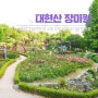 서울 대현산 장미원 장미축제 5월 6월 꽃구경 지금 가볼만한곳