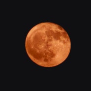 오늘밤 달은 붉고 둥근달