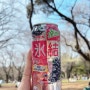 [도쿄일상] 3월 ② :: 벚꽃 없는 벚꽃축제, 일본 달래, 신오쿠보 신짱, 소소한 일상