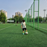 향남화합공원에서 축구연습 오늘은 사포 연습에 빠졌습니다.