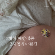 4개월 예방접종 2차 영유아검진 / 접종열 검사항목 결과