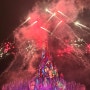 홍콩 디즈니랜드 라이온킹 공연 불꽃놀이 시간