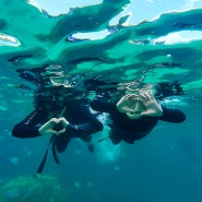 푸꾸옥 보물섬 호핑투어 고스트로 예약한 내돈내산 후기