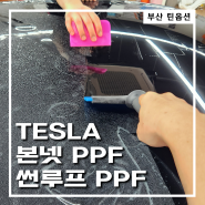 부산 테슬라 썬루프 PPF, 본넷 PPF 시공으로 차량 업그레이드