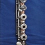 [악기보험] Flute - Haynes 14k Combi