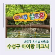수성구 아이랑 피크닉 대흥동 유아숲 체험원 가볼만한 곳