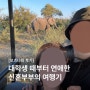 대학생 때부터 연애한 신혼부부의 보츠와나 여행기 (feat. 빅토리아 폭포, 초베 국립공원, 모리셔스 아모트래블)