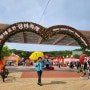 울산 대공원 장미축제