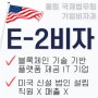 미국에 법인을 신설한 블록체인 기술 기반 한국 IT기업 대표의 E2비자 승인사례