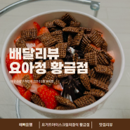 요거트 아이스크림의 정석, 요아정 황금점 어플 배달 리뷰