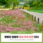 [전남 5월 꽃 축제] 향기로운 꽃향기 가득! 황룡강 길동무 꽃길 축제 일정 안내드려요~