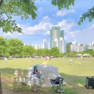 난지천공원 텐트 칠수있는곳 유아숲체험장 6월 서울 가볼만한곳