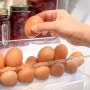 살모넬라균 식중독 예방하려면? 계란을 싱싱하게 보관하는 방법