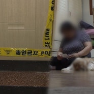 SBS '그것이 알고 싶다' - 찹쌀공주와 두 자매: 여수 모텔 살인 사건의 비밀