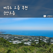 자동차로 올라갈 수 있는 제주 군산오름 한라산과 제주도 서쪽 풍경을 함께 볼 수 있는 서귀포 오름 추천