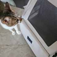 고양이 눕눕백 프로젝트21 백팩형 이동가방