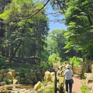 부산 소풍 가기 좋은 산책길 성지곡수원지