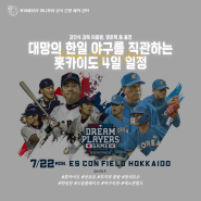 [일본] [하나투어] 한국 VS 일본 레전드 매치! 2024년 드림플레이어즈 야구를 직관하는 홋카이도 4일 일정