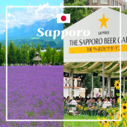 여름 일본축제 여행 훗카이도:: 2024년 삿포로 맥주축제와 후라노 라벤더 축제 일정 정보