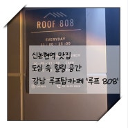 [신논현역 맛집] 도심 속 힐링 공간, 강남 루프탑카페 '루프 808'