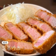 안산 재방문 맛집ㅣ중앙역 맛집 안산 도톰카츠 솔직후기