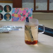 Primer's Tea 프리미어스티 - 매직티완드 Nilgiri, Darjeeling 닐기리, 다즐링 815, 816