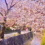 일본 교토 여행지 추천 철학의길 은각사 난젠지 수로각 걷기여행