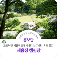 예천의 자연치유의 공간, 새움정 캠핑장