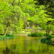 안동 가볼만한곳 낙강물길공원 안동댐 드라이브 비밀의숲 가는법