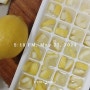 레몬을 먹자 :)