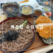 수원역 근처 일식당 [백소정] : 혼밥 하기 좋은 돈까스, 모밀 맛집