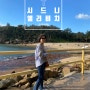 5일차 시드니여행의 중반을 넘어[ft.The tea cosy카페.Circular Quay(서큐러 퀘이).Manly 해변.Shelly Beach(쉘리해변)