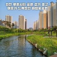 인천 루원시티 공원 걷기 좋고 여유가 느껴졌던 바람꽃공원
