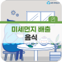 미세먼지 배출을 돕는 음식을 소개합니다! (도라지 효능, 녹차 효능 등)