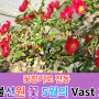 천불선원(天佛禪院) 꽃 5월의 Vast 10