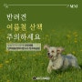 애견수목장 오수 펫 추모공원이 알려주는, 반려견 여름철 산책 주의사항