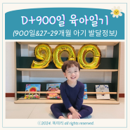 D+900일 어린이집 소풍 도시락 첫 부모 참여 수업, 27개월 28개월 29개월 아기 발달