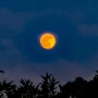 폼페이의 달과 사리현동의 달은 같을까?
