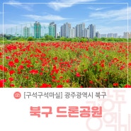 [5월 자유취재] 북구 드론공원