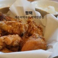 가성비 좋은 막국수+치킨 세트메뉴 '개수리막국수 평택안중점'